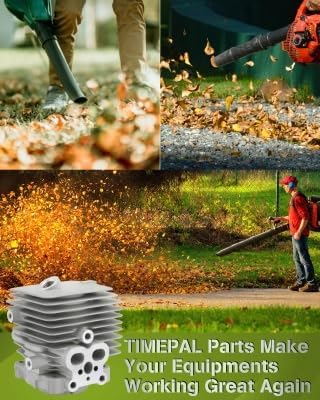 Cylinder Assembly for STIHL BG86 BG86C SR200 Replace 4241 020 1203 with Rapair Kit Containing Spark Plug Fuel Filter and Gasket
