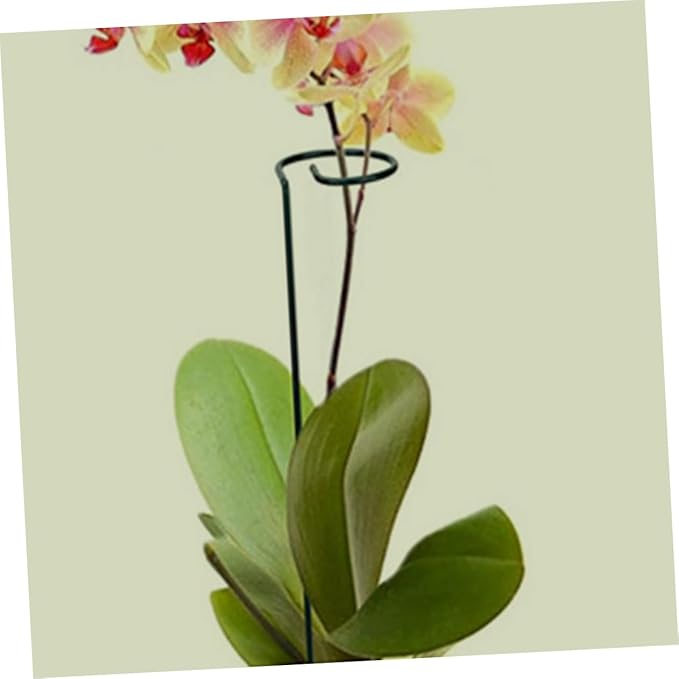 Garden Trellis with Support Clips for Climbing Plants Metal Stakes and Plant Clips for Potted Houseplants and Vines Easy to Install and Durable