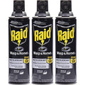 Raid Wasp &amp Hornet Killer 14Oz Aerosol 6 CT