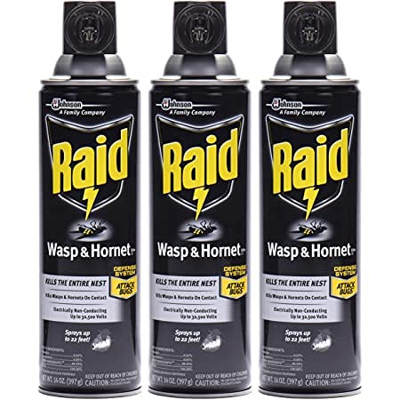 Raid Wasp &amp Hornet Killer 14Oz Aerosol 6 CT
