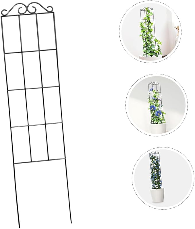 TEHAUX 4pcs Metal Plant Climbing Support Frames 50x15cm Black Vine Climbing Flower Rack Indoor Outdoor Garden Trellis for Potted Plants and Home Use