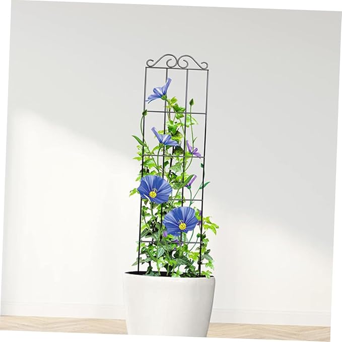 GLEAVI 4pcs Metal Plant Support Stakes Climbing Plant Frame Garden Trellis for Vines and Flowers 50x15cm Black Indoor Outdoor Vegetable Climbing Rack