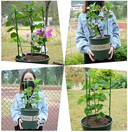 Tomato Cage Plant Support Garden Trellis Plant Cage Plant Support Green Set of 3 (Adjustable 3pack-30'')