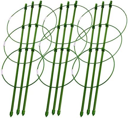 Tomato Cage Plant Support Ring Garden Trellis Flower Iron Support Climbing Plant Grow Cage Green Supporter Climbing Plants Set of 3 (3pack-30'')