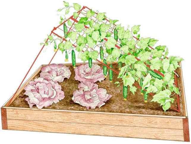 Gardener's Supply Company Cucumber Trellis | Garden Bed Support for Cucumbers &amp Climbing Plants | Outdoor Plant Support w/ 4 Grids for Easy Harvesting | 32 x 48 - Medium (Red)