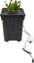 Hydroponics Growing System with Top Drip Kit 7 Gallon Deep Water Culture Bucket System with Air Pump&ampHose Recirculating Drip Garden System (1pcs)