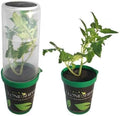 (USA Warehouse) LED-Clone-Shipper-Classic-Plant-Shipping-Container - 3 PK -/PT# HF983-1754418876
