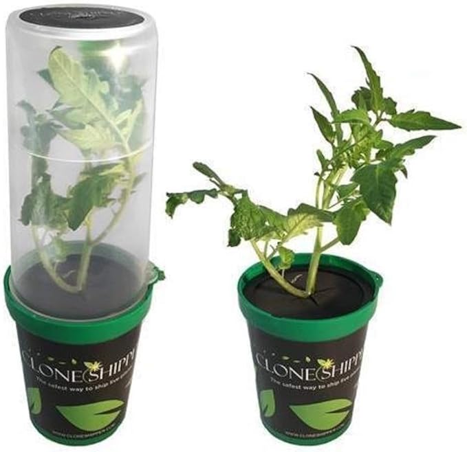 (USA Warehouse) LED-Clone-Shipper-Classic-Plant-Shipping-Container - 3 PK -/PT# HF983-1754418876