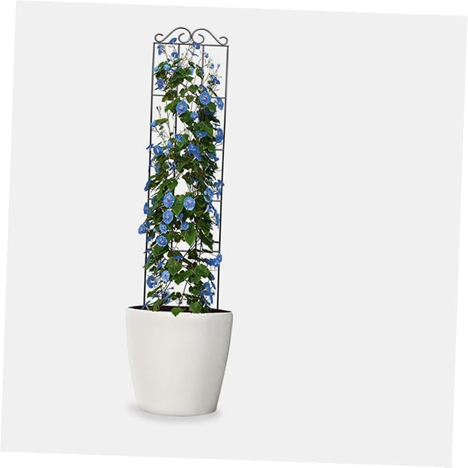 Operitacx 4pcs Metal Garden Trellis Plant Climbing Rack Support Frame for Potted Vines Indoor Outdoor Plant Climbing Holder 50x15cm Black