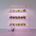 Hydroponic Grow Kit 3 Layer 90 Plant Sites 10 Food-Grade PVC-U Pipes Hydroponics Planting System with Water Pump Pump Timer Nest Basket and Sponge for Leafy Vegetables