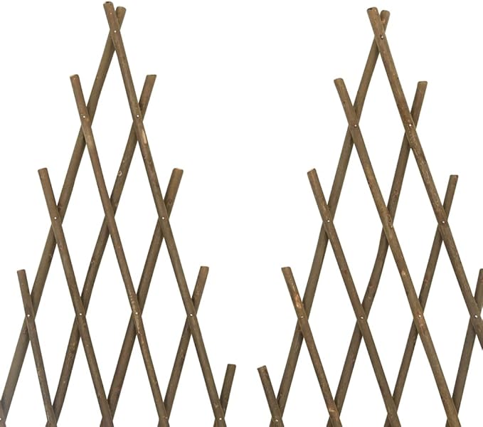 5PCS Expandable Natural Willow Trellis Fence Wall Panel Outdoor Decorative Wood Fence Plant Support Willow Lattice Fence Panel for Climbing Plants Vine Vegetable Garden 66.9x29.5