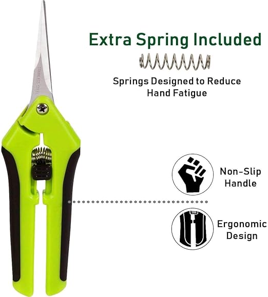 Grodan A-OK 1.5 Seedling/Clone Cubes with Propagation Tray Catch Tray Scissors and Clonex Cloning Gel and Scissors
