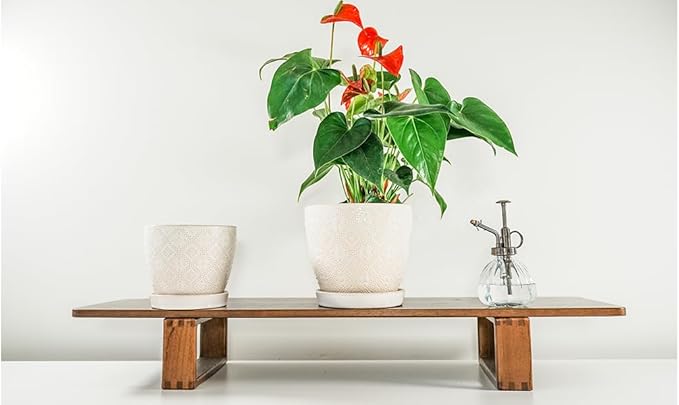 Docrin Ceramic Plant Pots Indoor 6.6 + 5.5 Inch Planters with Drainage Holes and Saucer for Home/Office - Set of 2 /White