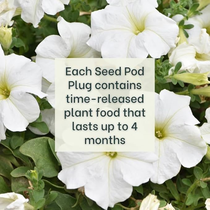 Blue Petunia - Complete Seed Pod Plugs with Plant Food - 10 Pods for Hydroponic Gardens Click and Grow Lettuce Grow and Outdoor Gardens