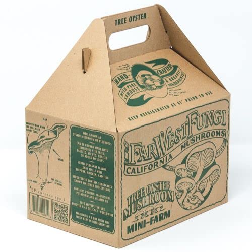 Far West Fungi Oyster Mushroom Mini-Farm Grow Kit 5lbs Non-GMO Easy to Use Grow Your Mushrooms at Home Tree Oyster Produced by Real Farmers in California Indoor