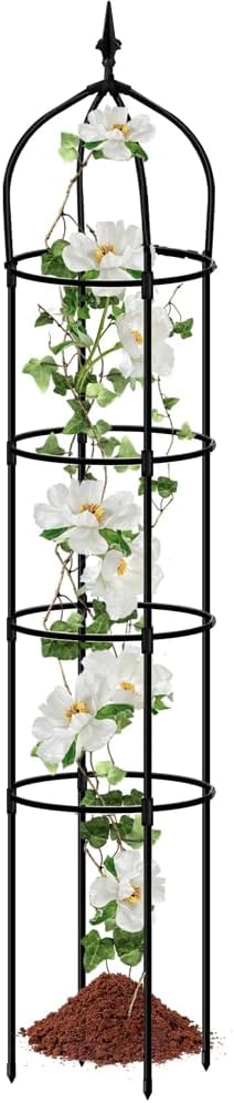 Garden Trellis for Climbing Plants Outdoor 6.2 Ft Rose Trellis for Pots Metal Plant Flower Trellises for Vine Support Outdoor Indoor (Black 6.2ft)rellis for Climbing Plants Outdoor Black