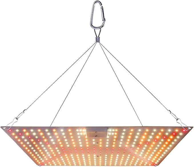 Pl Lamp LED Succulent Fill 50W Full Spectrum Pl Grow Quum Plate Greenhouse Greenhouse Nursery Plng
