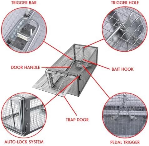 Humane Squirrel Trap - 2 Pack Rat Trap that Works 12.5x6.5x5.5 Small Rodent Chipmunk Trap Cages | Catch and Release | Reusable and Durable | No Kill Animal Trap | Indoor for Home and Outdoors