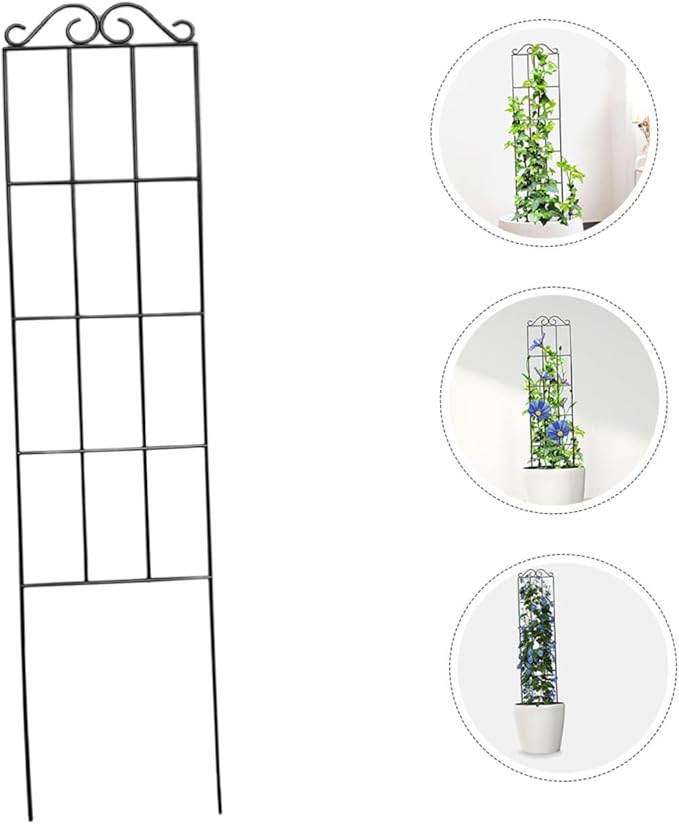 minkissy 4pcs Metal Garden Plant Climbing Trellis Frame for Vines and Flowers 50x15cm Black Plant Support for Indoor Outdoor and Garden