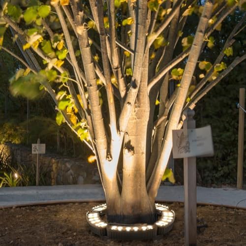 Outdoor LED Ring Lights for Tree Roots Uplighting IP65 Waterproof Landscape Lighting Kit 12W 1160LM 24V Wired Spotlights (3000K 8 Lights) for Garden Decor
