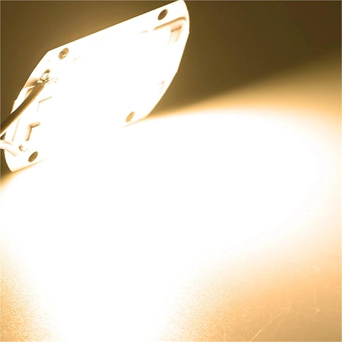 10Pcs/lot LED Chip Diode 110V 220V LED Lamp No Need Driver for Flood Light Spotlight LED Full Spectrum Plant Growth Lamp chip(Warm White220V_20W)