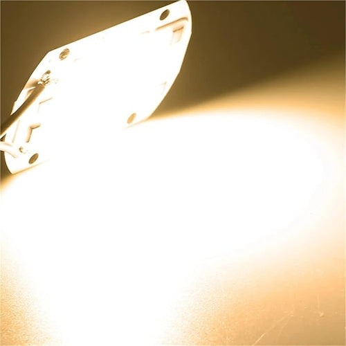 10Pcs/lot LED Chip Diode 110V 220V LED Lamp No Need Driver for Flood Light Spotlight LED Full Spectrum Plant Growth Lamp chip(Warm White220V_10W)