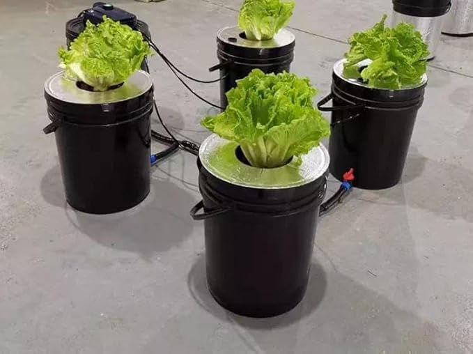 GROZY DWC Hydroponics Grow System Black Bucket Kit with Air Pump 5 Buckets 5 Gallon Each 15x12x12 Inches Indoor Growing