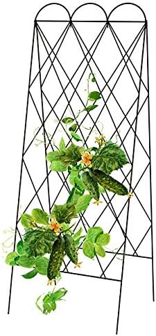 Panacea 90140 Rustic Heirloom Folding Trellis Brown 60 H