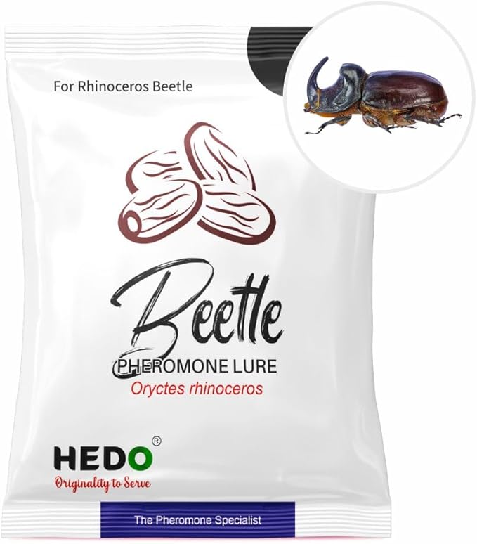 HEDO Beetle Lure Pack of 10| Pheromone Lure for Rhinoceros Beetle (oryctes Rhinoceros) for Coconut &amp Palm Tree
