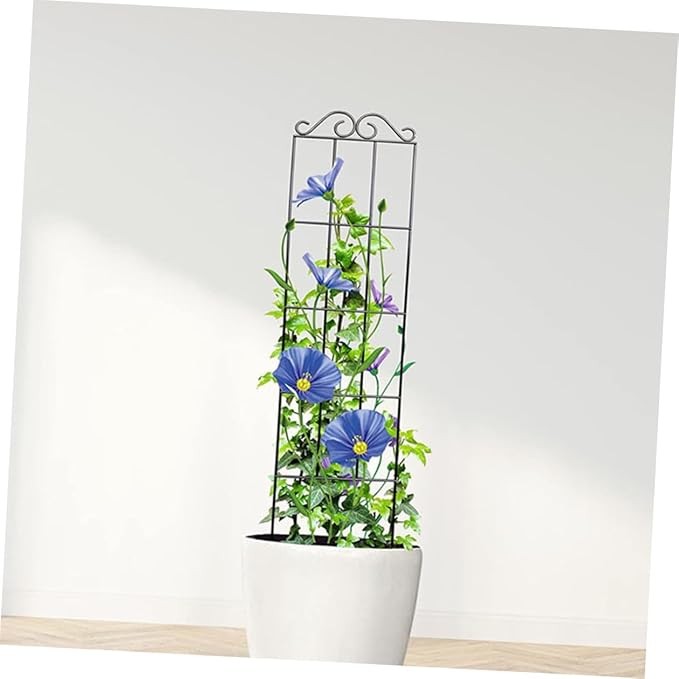 TEHAUX 4pcs Metal Climbing Plant Trellis Frame 50x15cm Black Vine Support for Garden and Potted Plants Climbing Cage for Indoor and Outdoor Gardening
