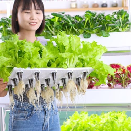 Hydroponic Tower Growing Kit with LED Grow Light Indoor Self-Watering Aeroponics System with Hydrating Pump 64 Holes for Efficient Plant Growth