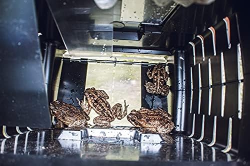 Cane Toad Catcher Trap - Humanely Protect Your Pets from Poisonous Cane Toads