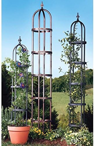 Plow &amp Hearth Metal Garden Obelisk | Indoor/Outdoor | Powder-Coated Steel | Trellis for Climbing | Floral Pattern | 11 Dia. x 7'H | Bronze