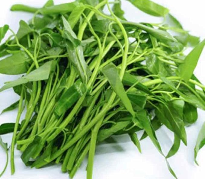 2000+ Seeds Kangkong Seeds - Rau Muong Ong Choy Brown - Chinese Spinach - Cong Xin CAI Seeds kangkung Seeds for Planting