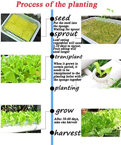 Wall-Mounted Hydroponic Grow Kit 72 Plant Sites Hydroponics Planting System 8 PVC-U Pipes Hydroponic Gardening Indoor System with 110V Water PumpPlanting SpongeHose