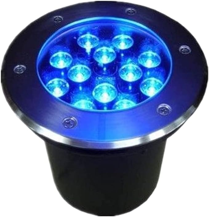 2pcs/lot AC220V/12V 9w/12w LED Round Inground Lamp 304 Stainless Steel Cover Red/Yellow/Blue/Green/Purple Light IP67 Waterproof LED Embedded Spotlight (Size : 9w-AC220V-color Light)