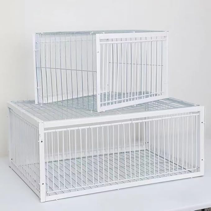 Foldable Galvanised Pigeon Trap Cage Humane One-Way Entrance Escape-Proof Design Portable Easy Assembly Ideal Pigeon Coop and Bird Trap Cage for Feral Doves Andowns (15.74X 15.75W X 10.24 H)