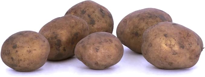 Seed Potato Harvest Blend Red Yellow Blue - High Yielding Mix Potato Tubers Perfect for Home Gardening | Harvest Early Season Easy to Grow (6 Pack)
