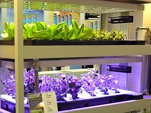 600W LED Plant Grow Light Panel For Hydroponic Garden Greenhouse Black(200pcsx3W leds)