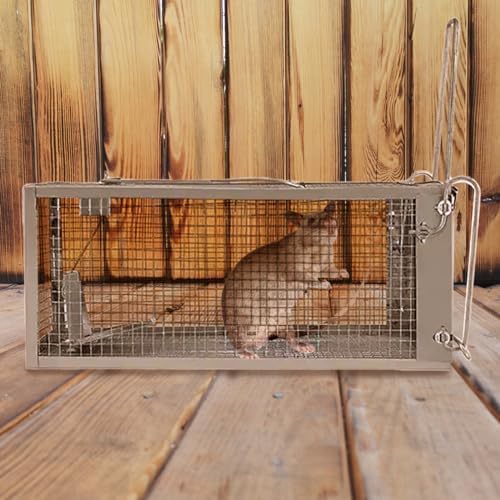 Humane Squirrel Trap - 2 Pack Rat Trap that Works 12.5x6.5x5.5 Small Rodent Chipmunk Trap Cages | Catch and Release | Reusable and Durable | No Kill Animal Trap | Indoor for Home and Outdoors