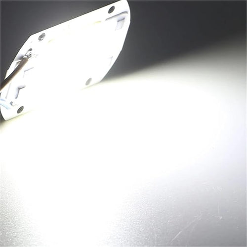 10Pcs/lot LED Chip Diode 110V 220V LED Lamp No Need Driver for Flood Light Spotlight LED Full Spectrum Plant Growth Lamp chip(Cold White110V_20W)