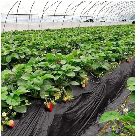 Garden Weed Control Membrane - Durable Geotextile Landscape Fabric for Effective Weed Prevention Plant Mulch 0.9m x 200m Ideal for Gardens and Landscapes