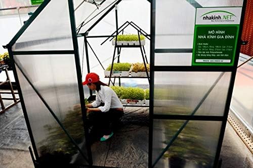 GT4 6 Mil Uv Treated Standard Clear Greenhouse Film 24' Wide X 100' Long