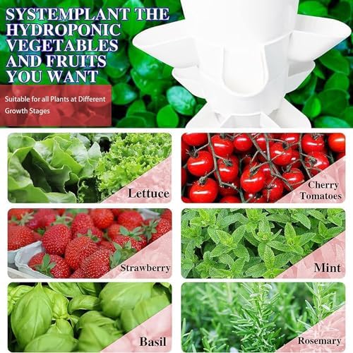 Indoor Hydroponic Growing System with Timer &amp Net Pots - Perfect for Gardening Herbs Fruits Vegetables | Space-Saving Easy Setup Efficient Growth