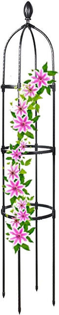 Tower Obelisk Garden Trellis for Climbing Plants Outdoor 45.3Inch 57Inch 69Inch Tall Rustproof Coated Metal Plant Support for Tomato Cucumber Ivy Vines Rose Potted Plant Trellis ( Size : 12.5/31.7cm