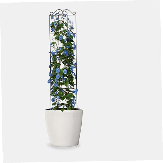 Alasum 4pcs Plant Climbing Support Trellis Frame Metal Garden Vines Rack for Potted Plants Indoor Outdoor Decorative Climbing Flower Rack 50x15cm Black