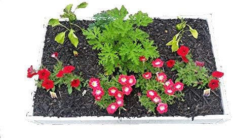 2 x 4 Stack-able White Vinyl Raised Garden Bed