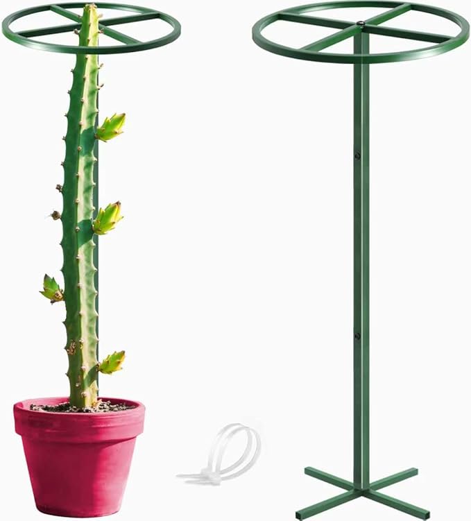 1 Pcs Adjustable Round Dragon Fruit TrellisDurable Metal Plant Trellis Outdoor Climbing Plants Support Frame for Vertical Gardening Trees Cactus Green