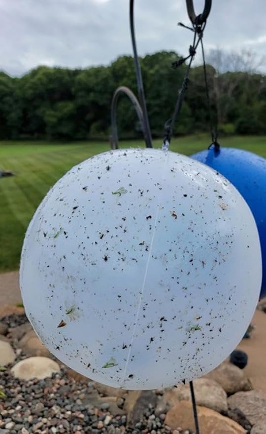 Bug Ball Mosquito Ball Replacement Kit - Biting Fly and Insect Trap Pack of 4
