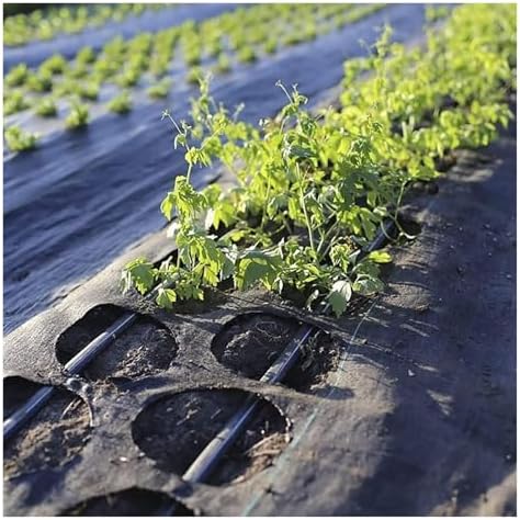 Premium Weed Control Membrane - Durable Ground Cover for Vegetable Garden (1.5x200m) - Effective Weed Barrier Fabric for Enhanced Growth &amp Soil Protection